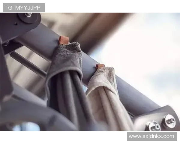 美国健身器材网站推荐与海外购指南