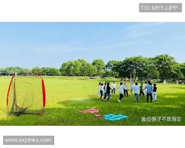 飞盘战术解析：武汉飞盘队如何构建高效节奏体系与团队协作